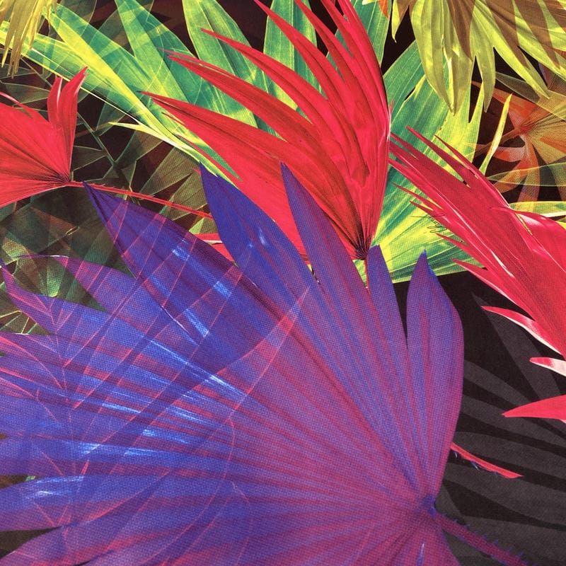 Tecido Neoprene Estampada Folhagens Colorido • Luema Tecidos